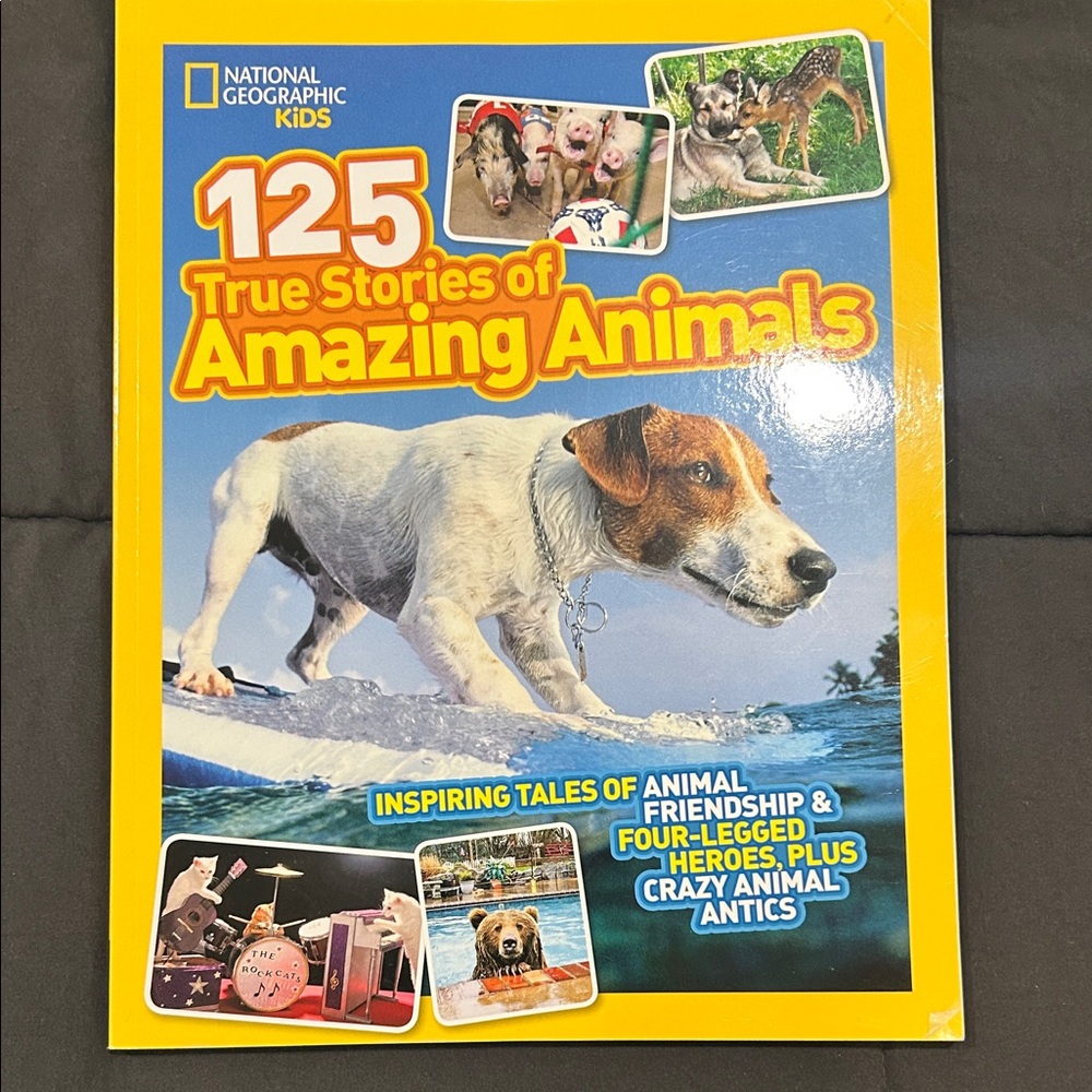 National Geographic Kids Amazing Animals Book - Yellow Cover